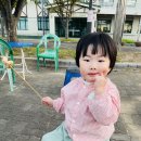 동락매점