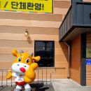 뚜레 | 춘천 한우 맛집 뚜레한우 정육식당 방문후기 한우등심 퀄리티 최고