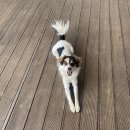 덕촌농장 | 슬기로운 덕촌생활