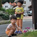 마인저 하우스 네이버블로그