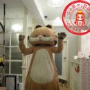 다락방고양이 이미지