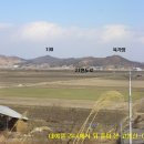 영철목장 Daum카페