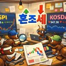 에이치엠스킨 이미지