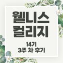 성결대학교 교육대학원 | [웰니스컬리지 14기🌿] 3주 차 후기 : 소매틱(Somatic) 접근법, 아로마 테라피, 명상과학과 하트스마일...