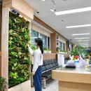 영주종합시장 이미지