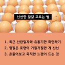 신선한 달걀 고르는 법과 보관법 이미지