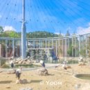 청룡카랜드 이미지