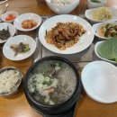 이미견 밥엔 낙지볶음 이미지