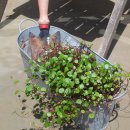 사이시옷 이미지