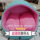 맘앤독스