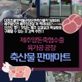베스파정육점