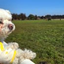 팜팜스테이 이미지