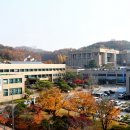 자유초등학교 이미지