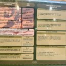 4967 | 나트랑 마사지 추천 예약 할인 로컬샵 로라스파