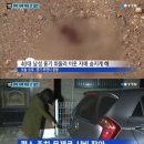 부천부곡초 이미지