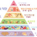 세종해밀한의원 네이버블로그