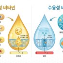 (주)D&A | 비타민 A D E K 흡수율 높이는 법, 공복 vs 식후 복용 차이 완벽 정리