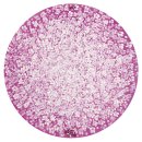 서석초등학교 이미지