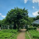 힐링포레 이미지