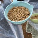 여운목장 이미지