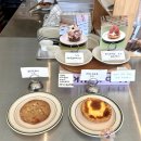 그린애견 이미지