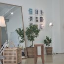 카페 영(Cafe Young) 이미지