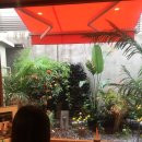 공간페인트 이미지