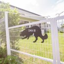 맘앤도그 이미지