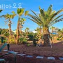 신산환승정류장 이미지