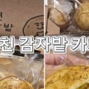 우지커피다산