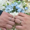 광장18호 | [종로/가성비웨딩밴드]디자이너웨딩밴드 조이아주얼리 계약 후기 견적 굿(+투와이스톤, 원골드 투어)