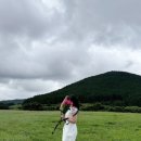 송당미학 이미지