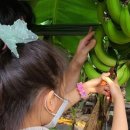 동산농장(2) 이미지