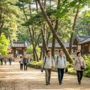 영주향교 대성전 | 🏯 [5월 여행] 선비의 숨결과 고즈넉한 역사! 아이와 떠나는 영주 전통 &amp; 역사 투어 BEST 5