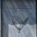 장유로 | 진주골프샵 젝시오14 여성 풀세트 보상교환 구매 후기