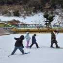 울릉초등학교 이미지