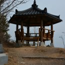차밭매점