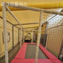 휴그린플러스