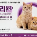 햇살가득약국 이미지