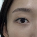 김포 풍무동 쏙눈썹 유지력 좋은 곳 키아라 방문 후기!