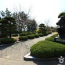 산호동142 이미지