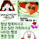 송화 이미지