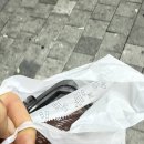자난주 금~오늘까지 이미지