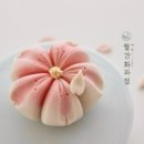 월간화과점 이미지