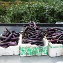 기곡농장 이미지