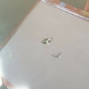 지오자동차공업사 이미지