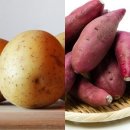 구황작물서 건강식으로 감자 vs 고구마 … 낮은 열량 vs 저 혈당지수로 건강식 이미지