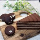 카카오공오삼(CACAO053)