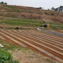 남해-270 이미지