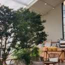 스테이제부(3) 이미지